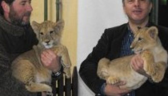 Két kis fenevad keresztapja Dorin Florea polgármester