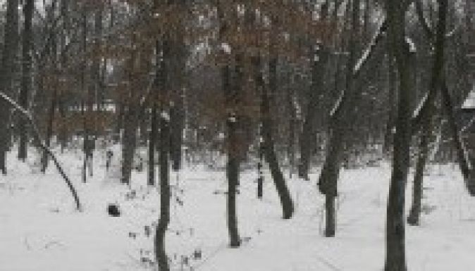 A civilek hadba szállnak Dorin Floreával a Somostetőért