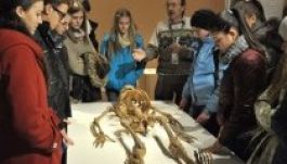 Tárlatvezetés-sorozat a Szóra bírt csontjaink című kiállításon