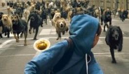 Még egy hét a Marosvásárhelyi Magyar Filmnapok kezdetéig