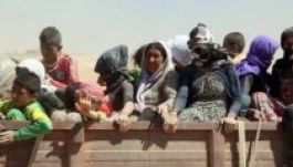 Élve temet el gyerekeket az Iszlám Állam az ENSZ szerint