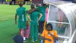 Mit csinál Gervinho a kerti széken? (MÉMGALÉRIA)