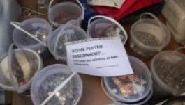 Egyre több frankhiteles akar aprópénzben törleszteni