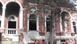 Közhasznúvá nyilvánítanák a vásárhelyi Aranykakast