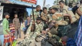 Emberevő tigrist ejtettek el Indiában