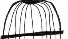 Kalitkákat keres a marosvásárhelyi színház