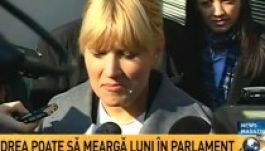 Elhagyhatja hétfőn lakását a háziőrizetes Elena Udrea