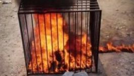 Elevenen égetett el 43 embert az Iszlám Állam