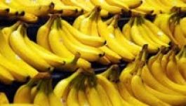 Lassan-lassan megfizethetetlen lesz Oroszországban a banán