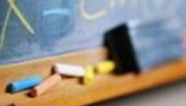 KISEBBSÉGBEN: 2015 – a magyar szakképzés éve