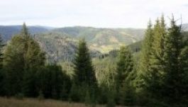 Budapesten és Bukarestben is népszerűsítik Székelyföldet