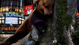 Romániában kap menedéket két orosz alkoholista medve