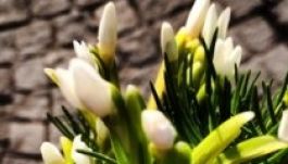 Tavaszi időjárással lépünk be márciusba