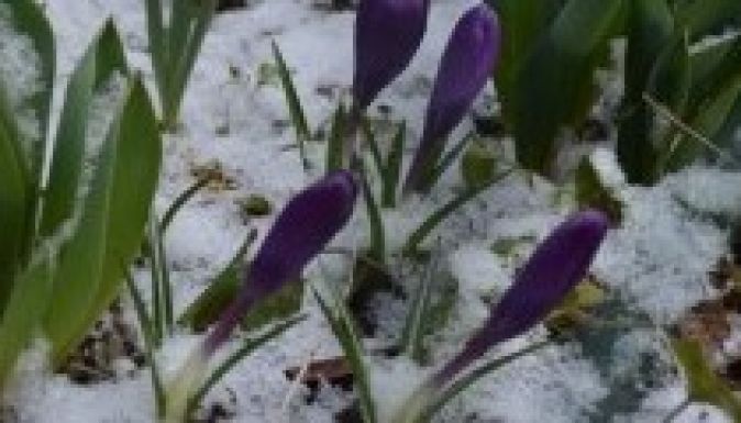 Az igazi tavaszra még várni kell a meteorológusok szerint