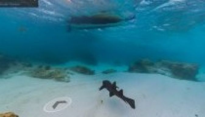 Már búvárkodhatunk is a Sreet View-val