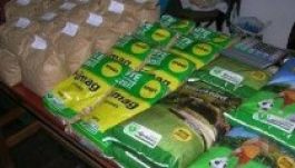 Kertésznapot tartottak Nyárádszeredában