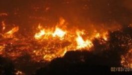 Pusztító tűzvész fenyegeti Fokvárost (GALÉRIA és VIDEÓ)