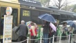 Múzeumbuszokkal terjesztenék a kultúrát Hongkongban