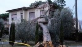 Ítéletidő tombol Olaszországban, többen meghaltak