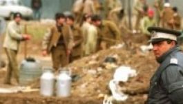 Mit dolgoznak a börtönlakó celebritások?