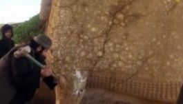 Újabb ókori emléket rombolt le az Iszlám Állam