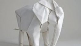 A prágai állatkertben az elefánttrágyából papírt gyártanak