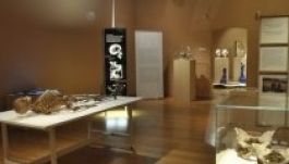 Érdekfeszítő embertani kiállítás nyílik Sepsiszentgyörgyön