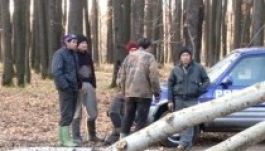 Tragédiával végződött a fakivágás Székelyföldön