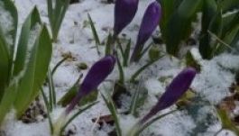 Az igazi tavaszra még várni kell a meteorológusok szerint