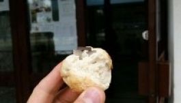 Többé nem szállít a tordai cég borotvapengés kiflit