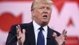 „Én vagyok az egyetlen, aki megint igazán naggyá tudja tenni Amerikát!”