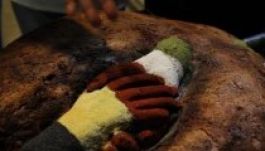 Ismét díjazták a Diószegi pékséget