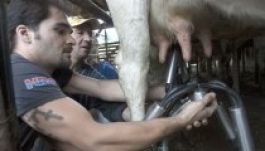 Tölts el egy hetet egy székely gazdaságban