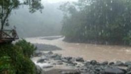 Zöld rekordot hozott Costa Ricának a szakadó eső