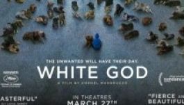 Észak-amerikai mozik tűzik műsorra a Fehér istent