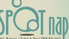 Egy napra Kolozsvárra költözik a Spot Fesztivál