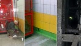 Öt évig élt befalazva egy cica