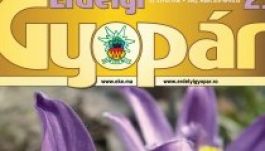 Megjelent az Erdélyi Gyopár idei második lapszáma
