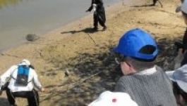 Ilyen Izrael emberközelből (GALÉRIA)