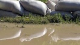 Árvízveszély van az Olt háromszéki szakaszán