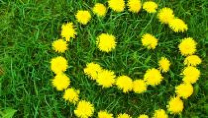 Mikor köszönt be a tavasz Erdélyben?