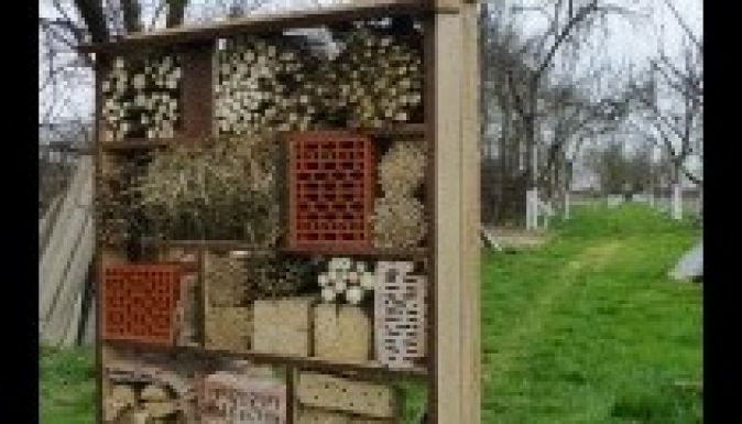 Darázsgarázsokkal védik a darazsakat Szatmár megyében