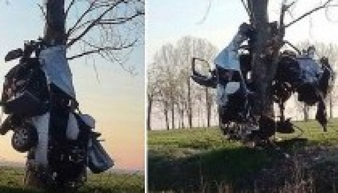 Felcsavarodott Audija egy fára a Nagyváradra tartó lengyel férfinak