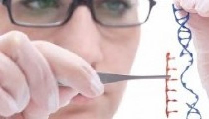 Emberi embriók génjeit manipulálták Kínában