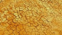 Először kellett vízkorlátozást elrendelni Kaliforniában