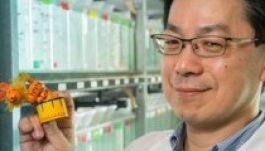 Azonosították a háromdimenziós testért felelős gént