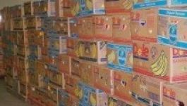 Több mint 100 kilogramm kokaint találtak egy banánküldeményben Prágában