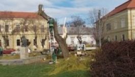 Jelentős károkat okozott a szélvihar Szatmárnémetiben