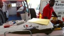 Kenya bombázni kezdte a szomáliai terroristákat