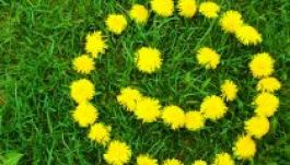 Mikor köszönt be a tavasz Erdélyben?